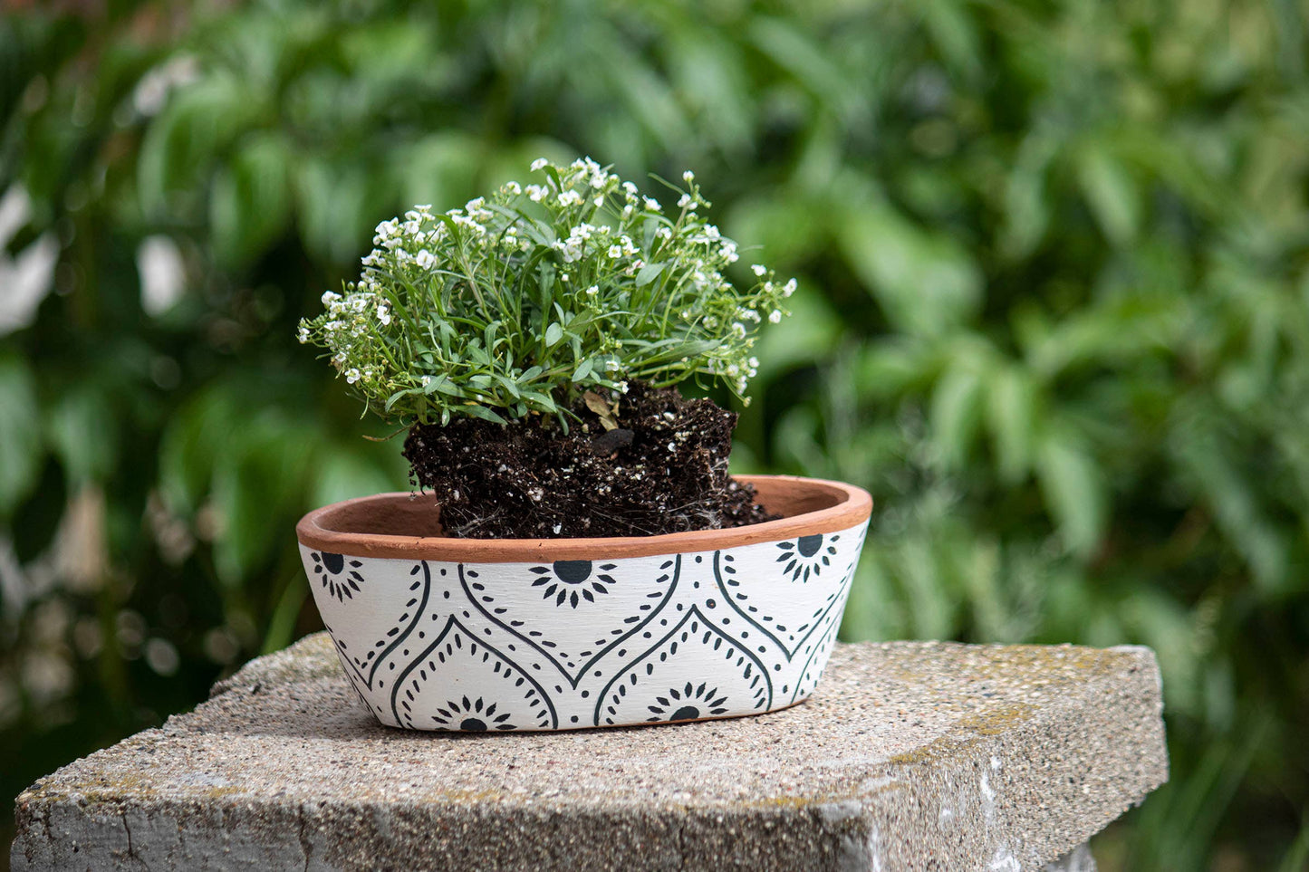 Jenica Oval Terracotta Planter