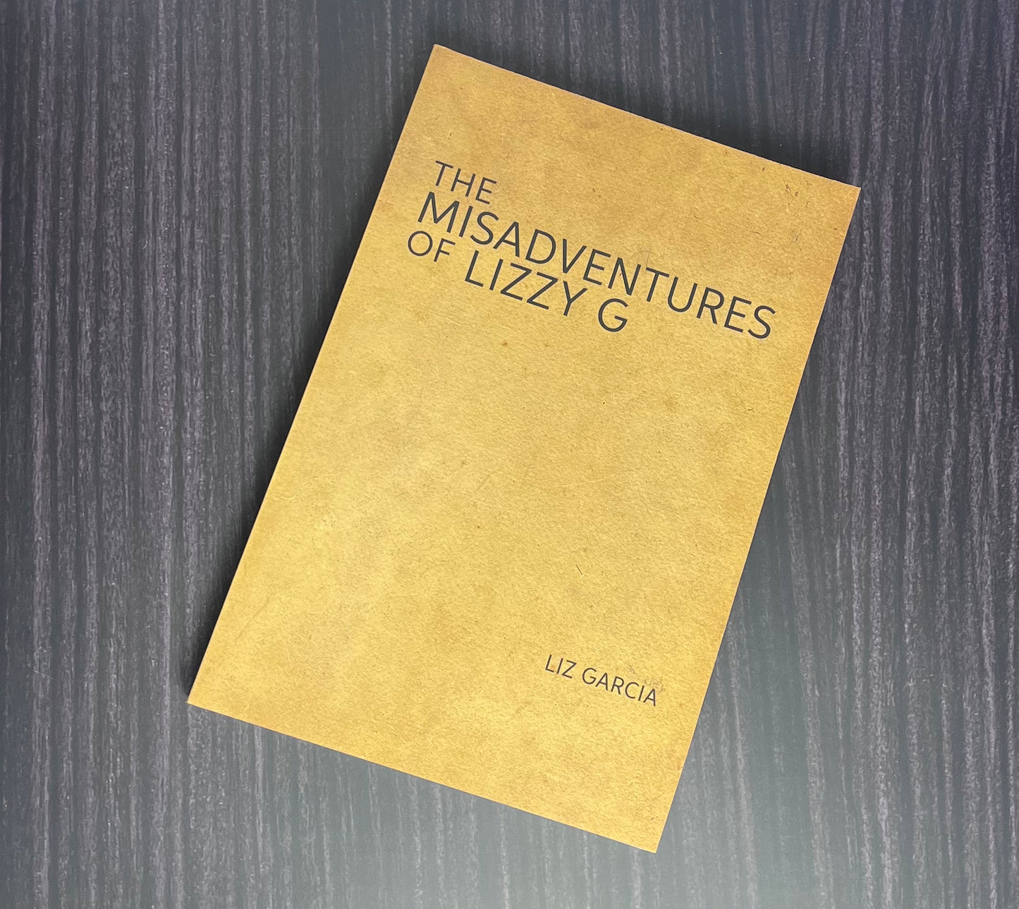 The Misadventures of Lizzy G Book