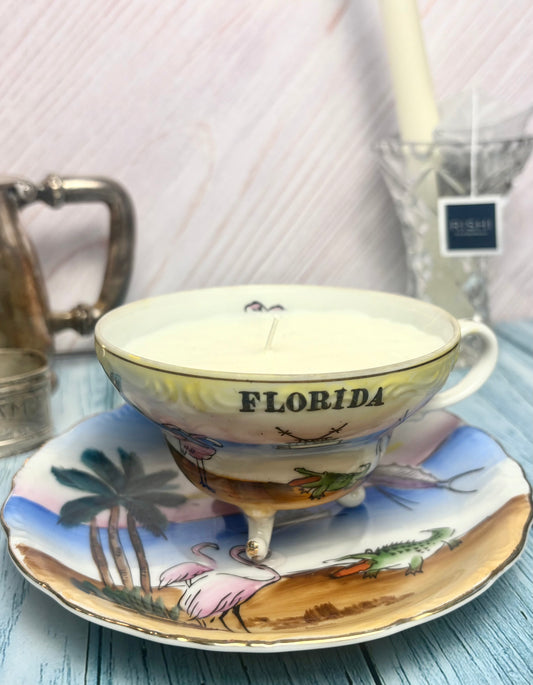 Florida Flamingo- Spearmint & Melon