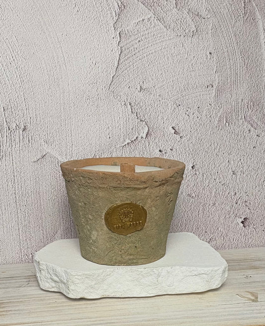 Afuera Terracotta Pot - Pear Thyme Citronella